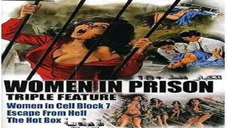 سكس كلاسيك مترجم هروب من سجن النسا سكس كامل مترجم